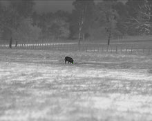 Load image into Gallery viewer, RICO HD 1280 2X 75mm RS75